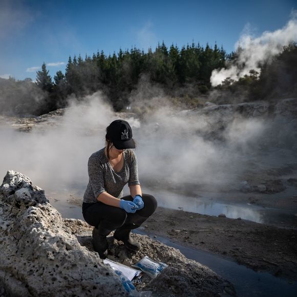 Meet your Posher, Annaliese - Picture 1 of 1